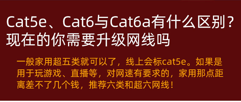 Cat5_Fei